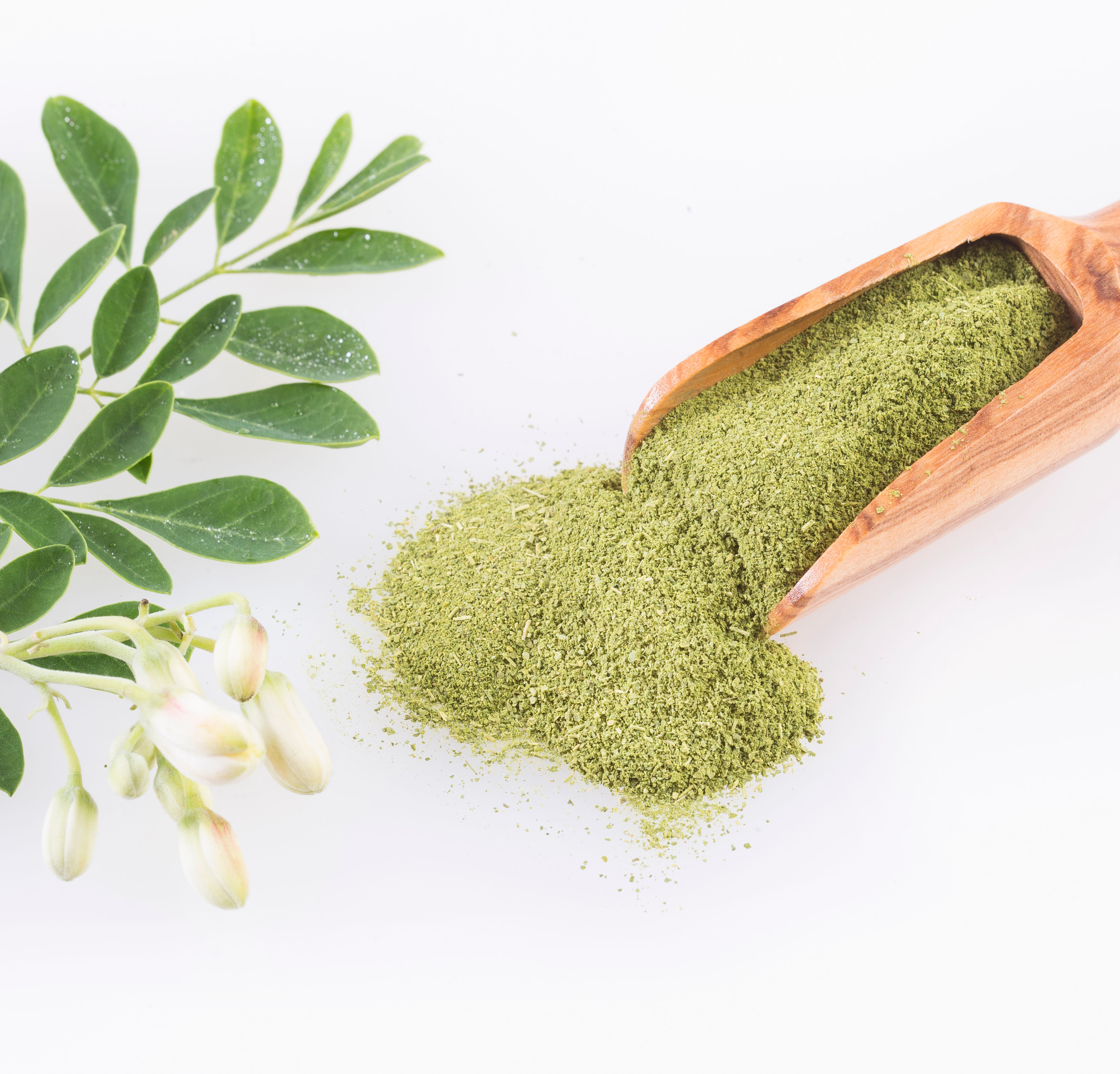 MORINGA POWDER