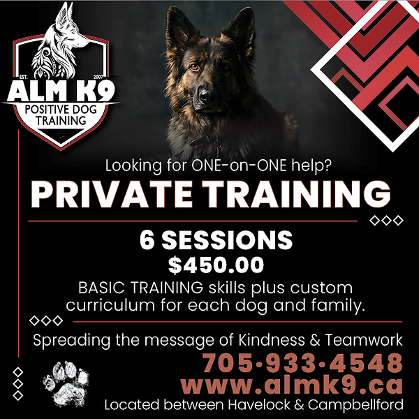 ALMK9-2026-PRIVATE.png