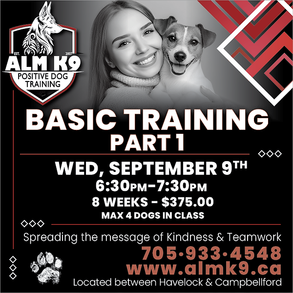 ALMK9-2026-SEPT-9.png