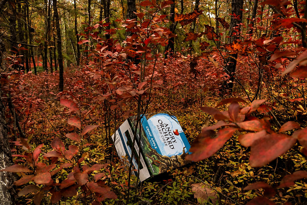 Finding Beauty in Nature—And the Reality That Comes With It