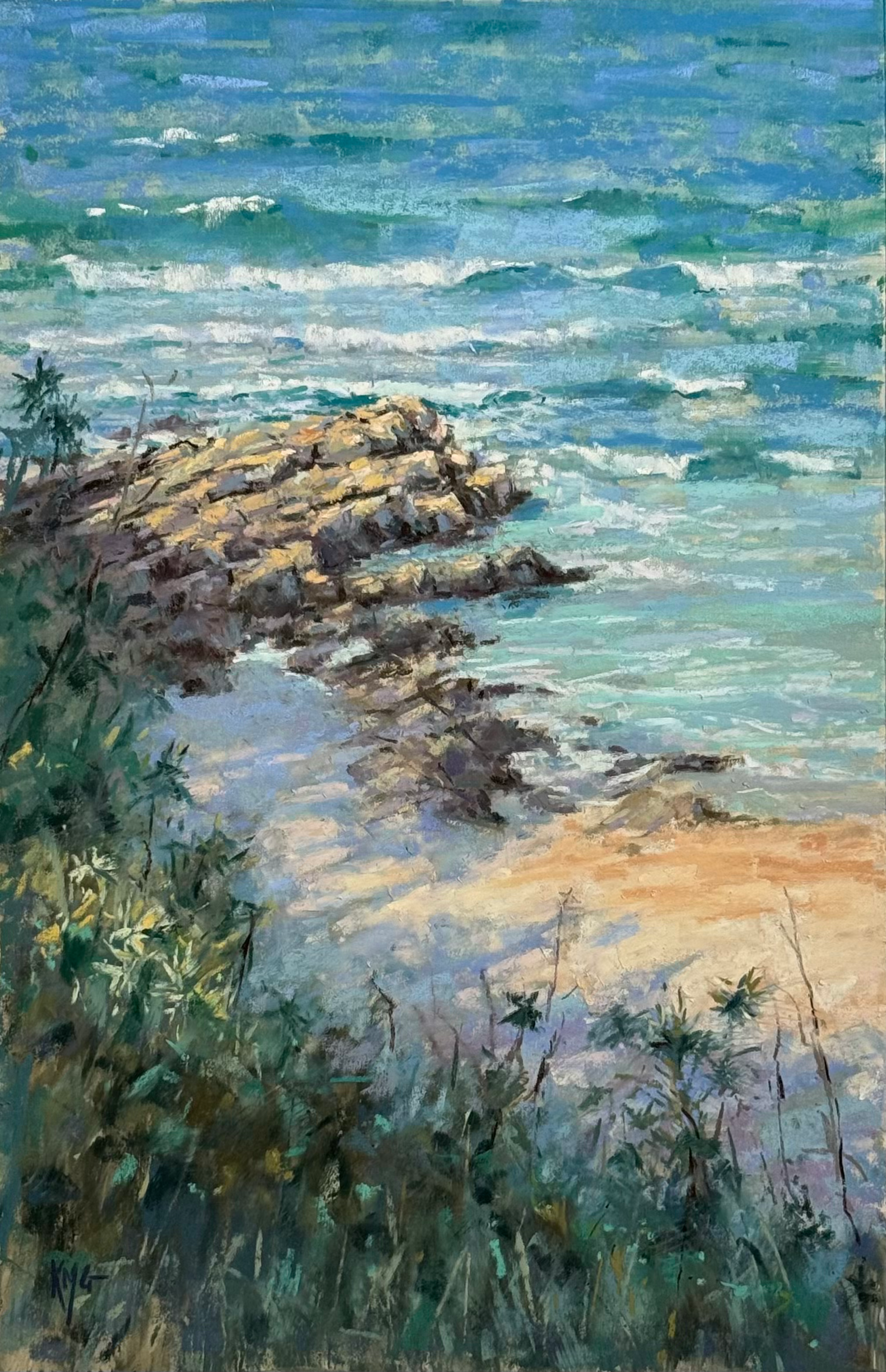 Noosa Headland