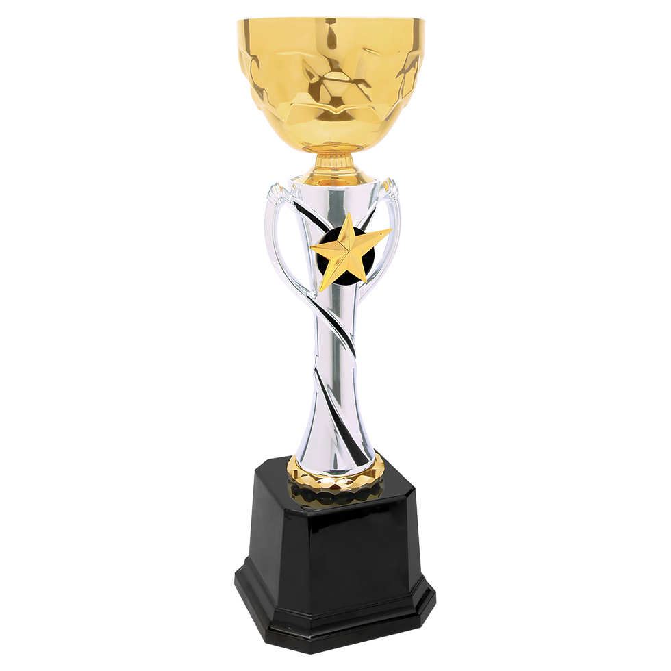 Engraved 12 3/4" Metal Cup Trophy - Silver/Gold Cup with Black Base