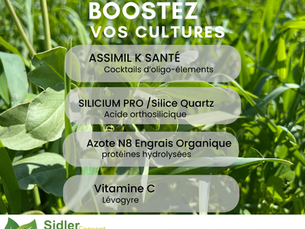 C'est un grand Oui, lancement du 1er passage ASSIMIL K SANTÉ & SILICE !