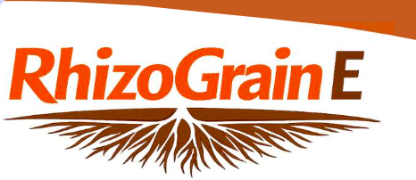 RhizoGrain E "en enrobage de semences"