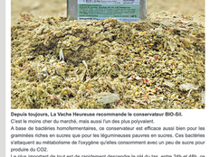 On parle de BIO-SIL : recommandation LVH