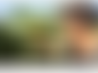 reportage PADV avec Anton Sidler - Eleveur en Normandie