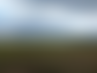 La newsletter LVH x Sidler Concept : Sortir de l'hiver, préparer juin !