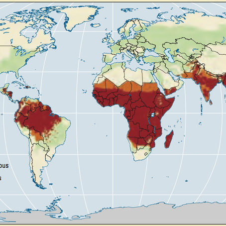 Using In-Depth Interview and Group Discussion for Infectious Diseases Assessment