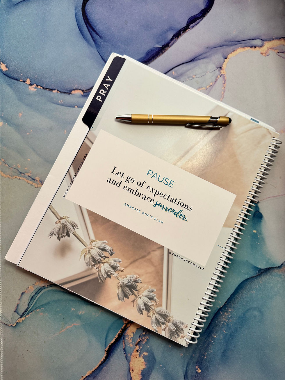 "Pray: PAUSE. Let go of expectations and embrace surrender. Embrace God's Plan" CEO Insights Page  | Pray Plan Profit CEO Planner