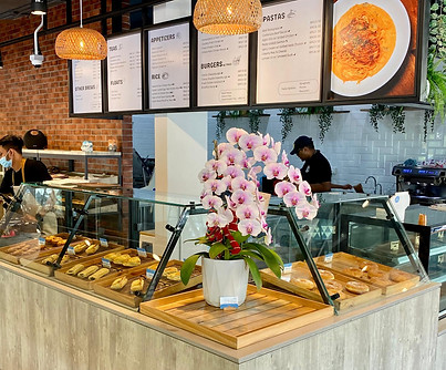 WhatsApp Image 2025-09-05 at 3.12.12 PM.jpeg