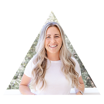 triangle-DANI-normal.png