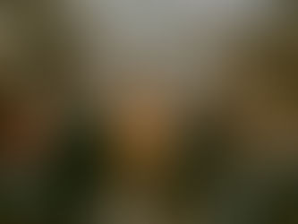 Stop By Sunday at Avonlea Farms: A Better Way to Meet Your Wedding Team