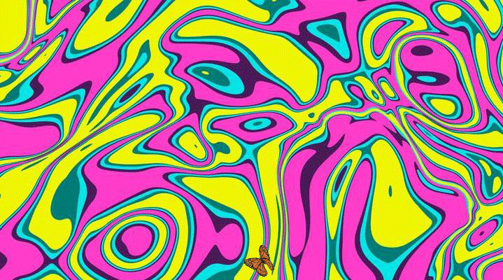 butterfly-gif.gif