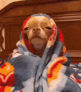 COMFY CLOTHES.gif