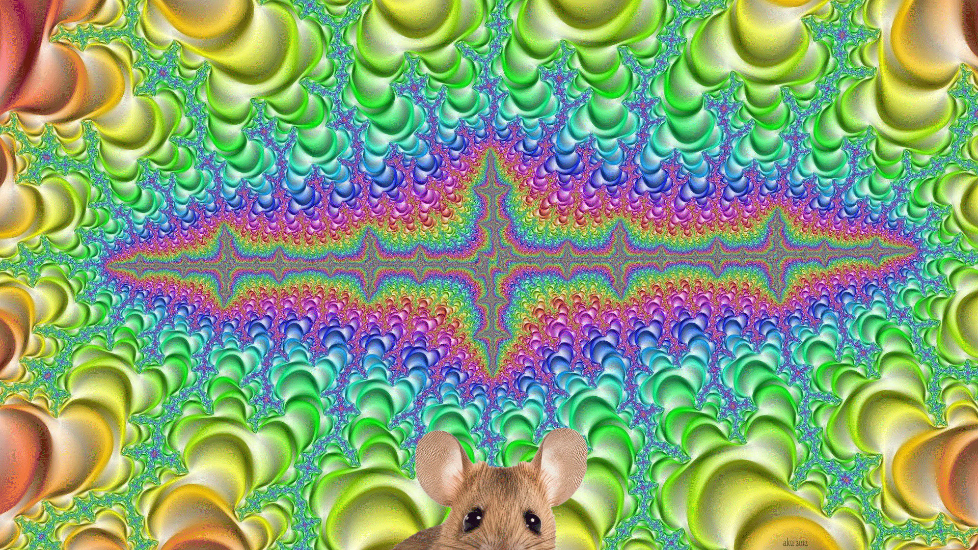 mouse-gif.gif