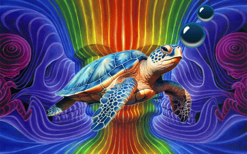 turtle-gif.gif
