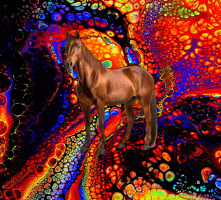 HORSE-GIF.gif