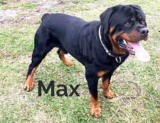 49368617_2396201960409000_21166989630997