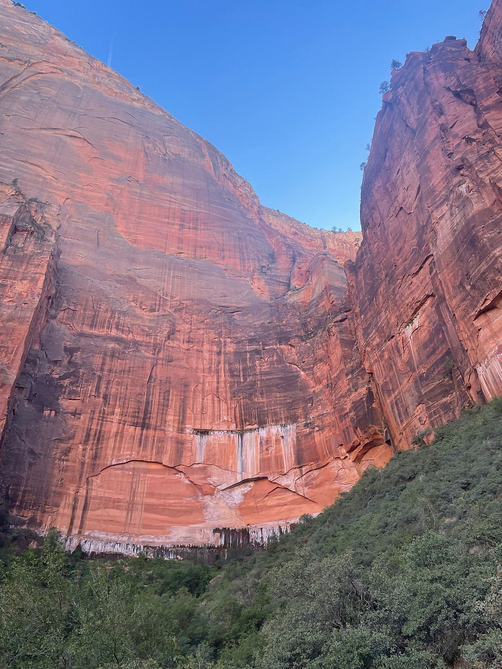 The red rock wall where water is seeping out at Zion National Park