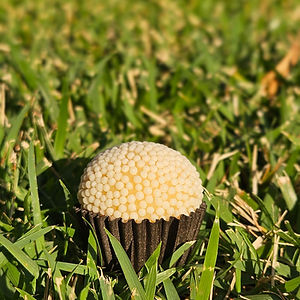 Brigadeiro Branco