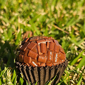 Brigadeiro Classico Com Confeito Gourmet