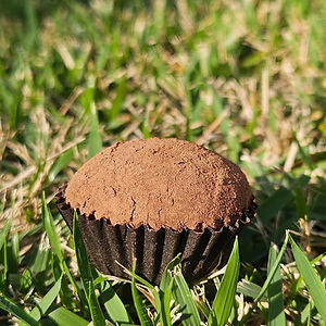 Brigadeiro Meio Amargo enrolado no Chocolate em Pó