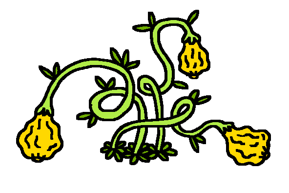 CRAB_Site_BioDome_CRABcrops12.gif