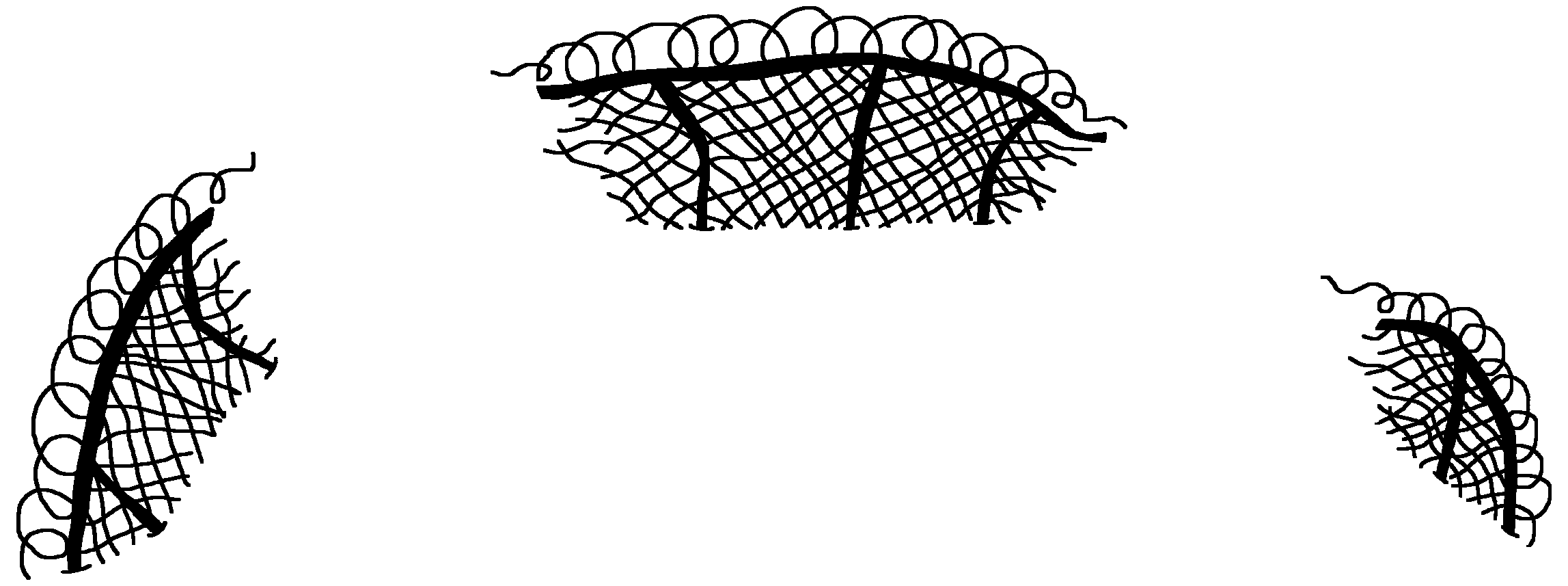 Fence1.gif