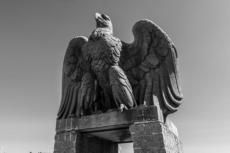Untitled-241.jpg