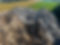 woodpile.jpeg