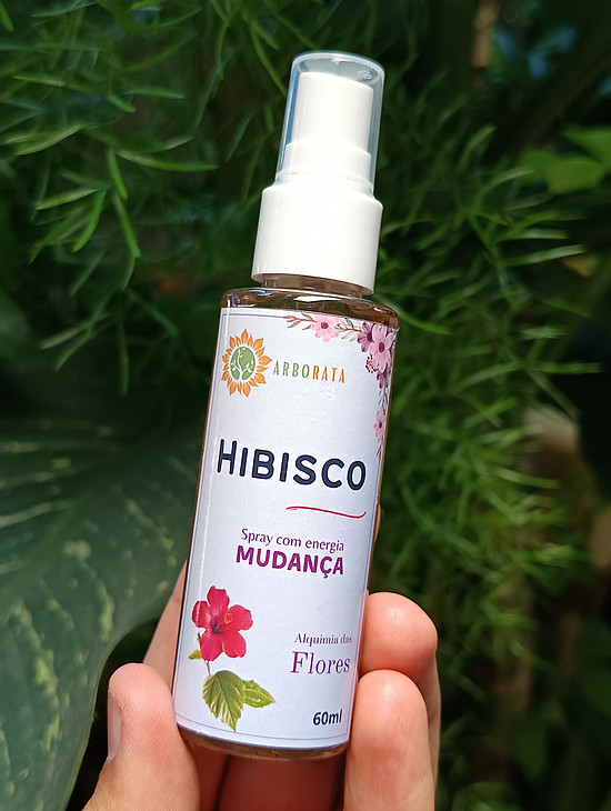 Hibisco 05.jpg