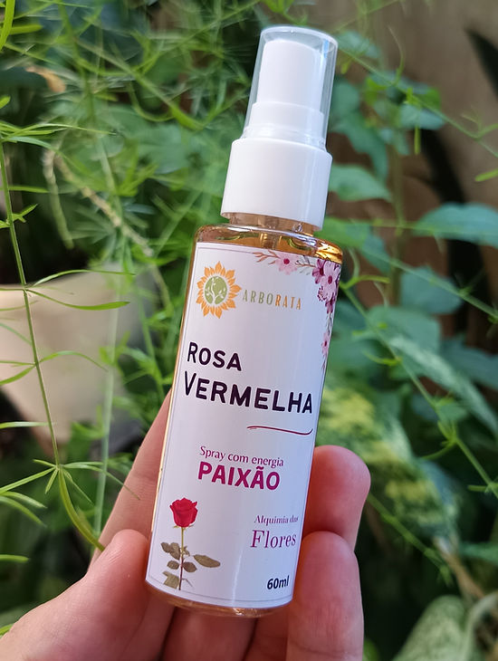 Rosa Vermelha 05.jpg