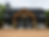 Edited Black house.png