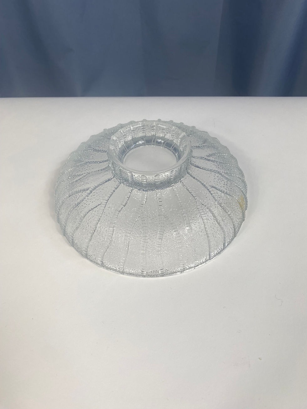 Thumbnail: Large Glass Dish with Organic Surface