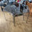 Thumbnail: Dinnertable Chrome and Glass