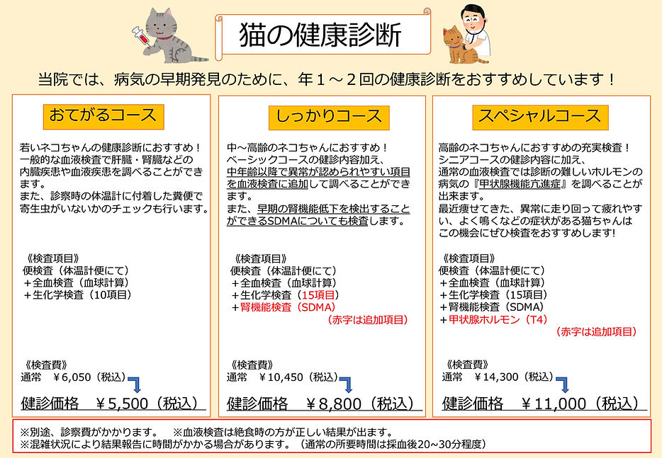 猫の健康診断.jpg