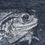 Miniature : Crapaud