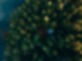 Siaurys-2021-09-26-68-min-scaled.jpg