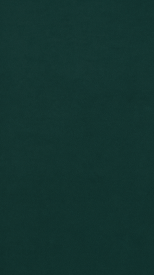 tekstura_01.png