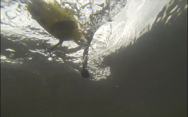 Thumbnail: J110 flip video clip