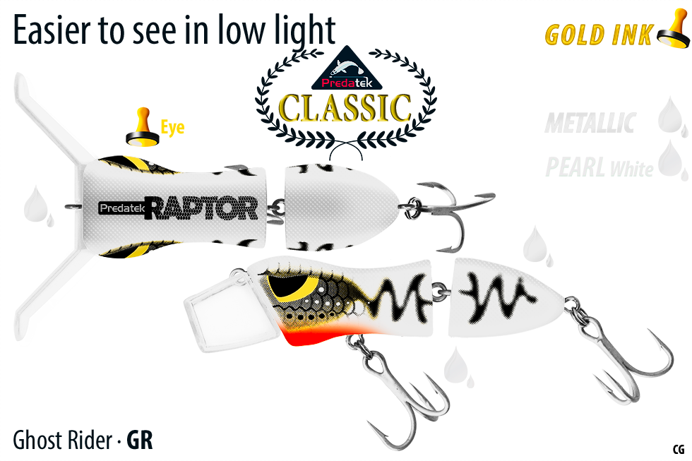 Thumbnail: R100 Raptor