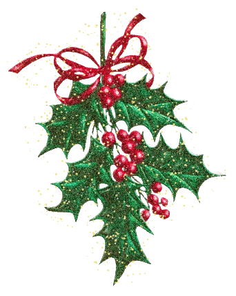 Holly Glitter Gif.gif