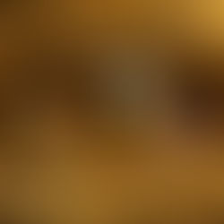 The Dragons Are Anchoring