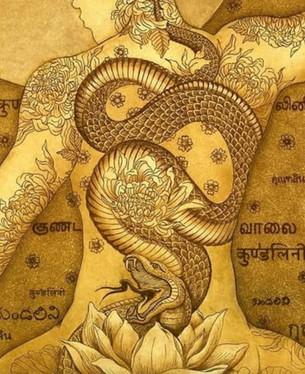 ¿Por qué despertar tu Kundalini? ¿Es seguro?