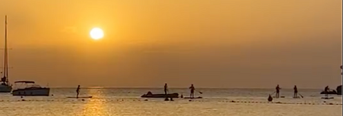 Emma Hands Quantum Energy Alchemist