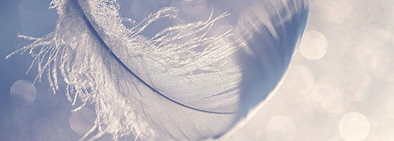 Intuitive Readings with Angel + Oracle Cards