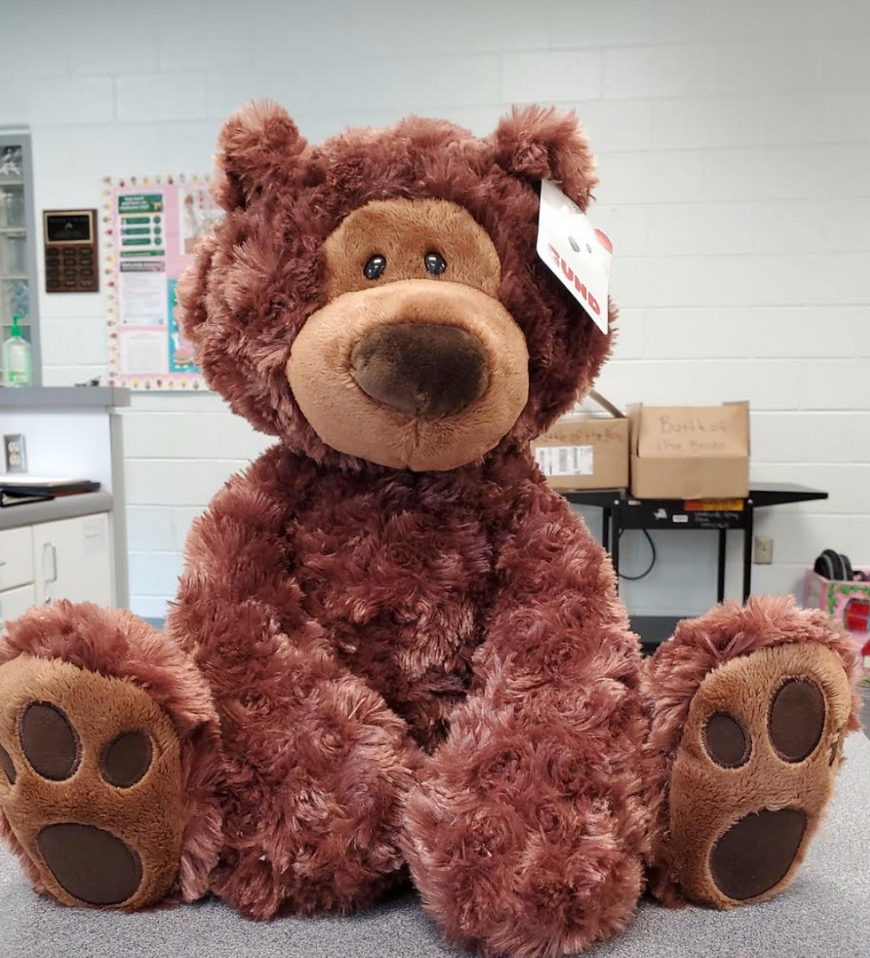 Bears for Schools