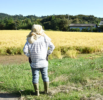DSC_0811_edited.jpg