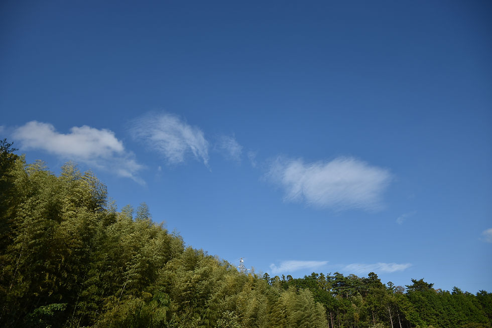 DSC_0873.JPG