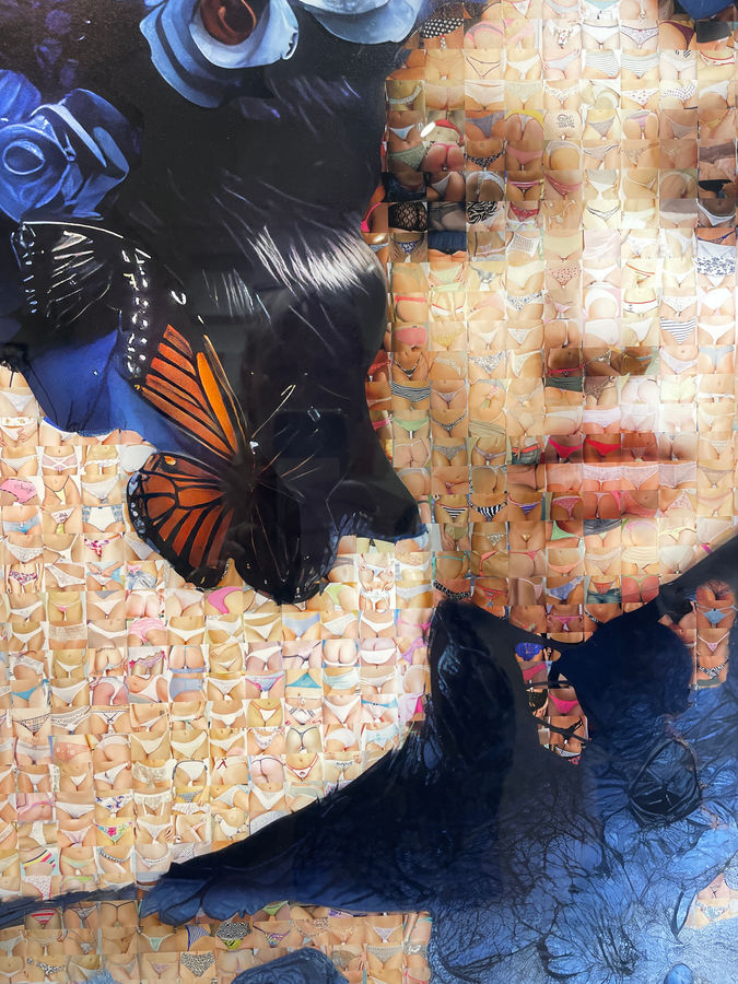 Artwork in Venice, woman with butterfly made up of bikini shots